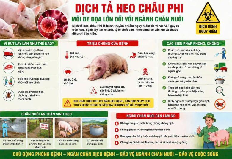 Dịch tả heo châu phi và cách phòng chống