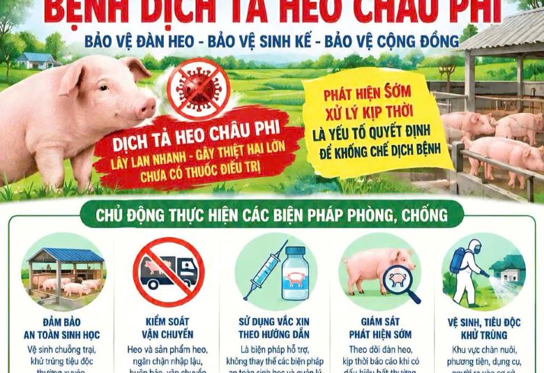 Tăng cường phòng, chống Dịch tả heo Châu Phi