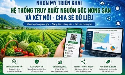 Nhơn Mỹ triển khai Hệ thống truy xuất nguồn gốc nông sản và kết nối, chia sẻ dữ liệu