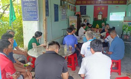 Nhơn Mỹ tổ chức ngày hội thu hoạch mô hình sản xuất lúa chất lượng cao phát thải thấp