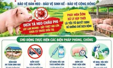 Tăng cường phòng, chống Dịch tả heo Châu Phi