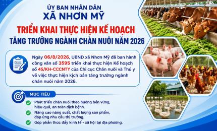 Thực hiện kịch bản tăng trưởng ngành chăn nuôi năm 2026