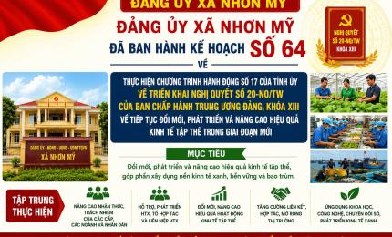 Đảng ủy xã Nhơn Mỹ triển khai chương trình hành động phát triển kinh tế tập thể trong giai đoạn mới