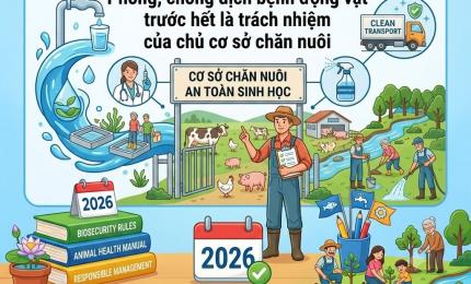 “Phòng, chống dịch bệnh động vật trước hết là trách nhiệm của chủ cơ sở chăn nuôi”. 
