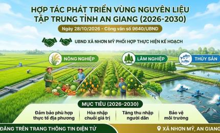 Phát triển vùng nguyên liệu nông, lâm, thủy sản tập trung giai đoạn 2026–2030