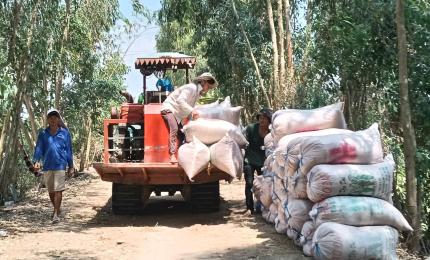 Chuẩn bị vụ Đông Xuân trên địa bàn tỉnh