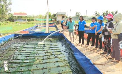 Phụ nữ Nhơn Mỹ khơi thông năng lực kinh tế từ đề án 938 vũ khí đập tan luận điệu mỵ dân