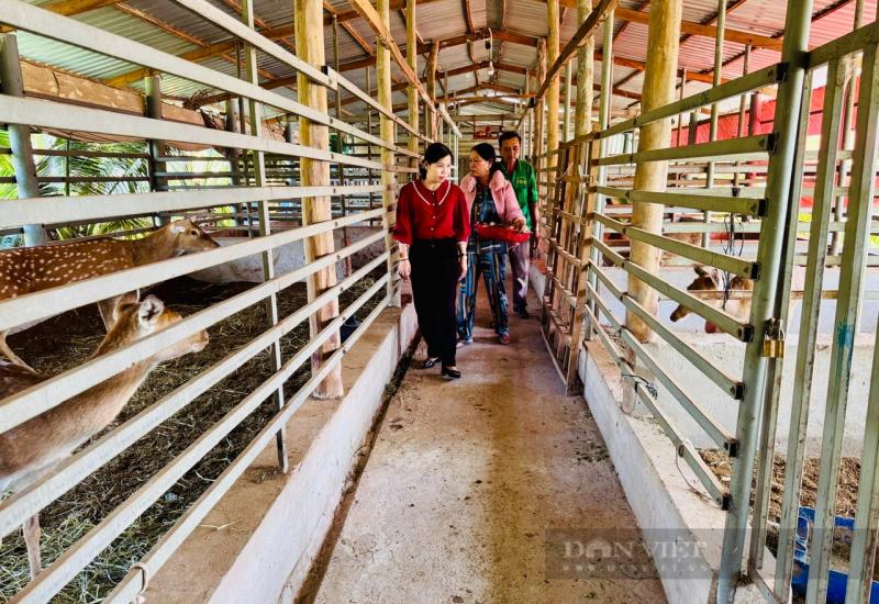 Nông nghiệp công nghệ cao: Chìa khóa vàng cho nông sản Nhơn Mỹ