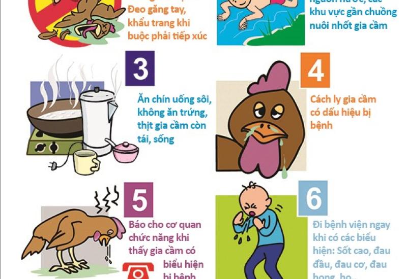 Thực hiện hiệu quả các giải pháp phòng chống bệnh Cúm gia cầm