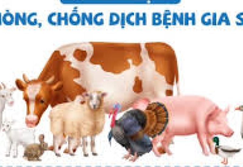 Tăng cường phòng, chống dịch bệnh trên đàn vật nuôi trước, trong và sau tết Nguyên đán Bính Ngọ năm 2026
