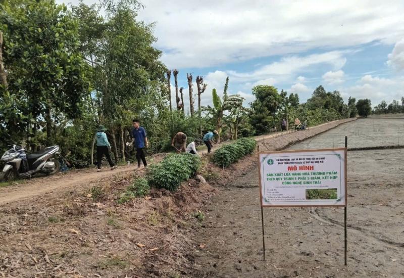 Ủy ban nhân dân xã Nhơn Mỹ thông báo tình hình dịch hại vụ Thu Đông