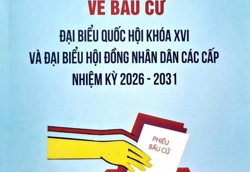 Những hành vi bị cấm trong vận động bầu cử