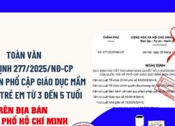 An Giang triển khai thực hiện Nghị định số 277 của Chính phủ về phổ cập giáo dục mầm non cho trẻ từ 3 đến 5 tuổi giai đoạn 2026 – 2030