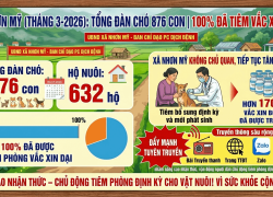 Nhơn Mỹ tăng cường phòng, chống bệnh dại