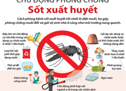 Sốt xuất huyết: phát hiện sớm để tránh biến chứng