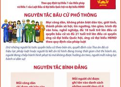Những nguyên tắc bầu cử đại biểu Quốc hội, đại biểu Hội đồng nhân dân