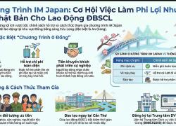 Tạo điều kiện thuận lợi và giảm tối đa chi phí cho người lao động tham gia các chương trình đưa lao động đi làm việc ở nước ngoài 